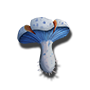 grom_ingredients_indigo_milk_cap